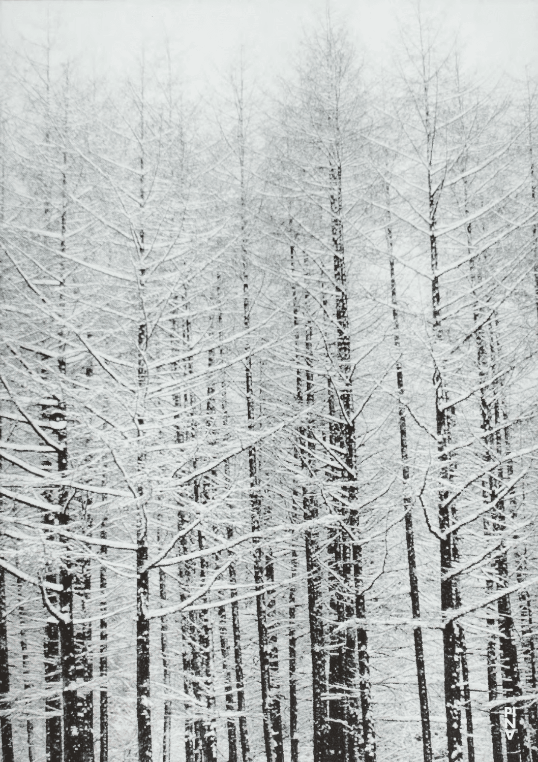 Programmheft zu „Rough Cut“ von Pina Bausch mit Tanztheater Wuppertal in Wuppertal, 15. April 2005