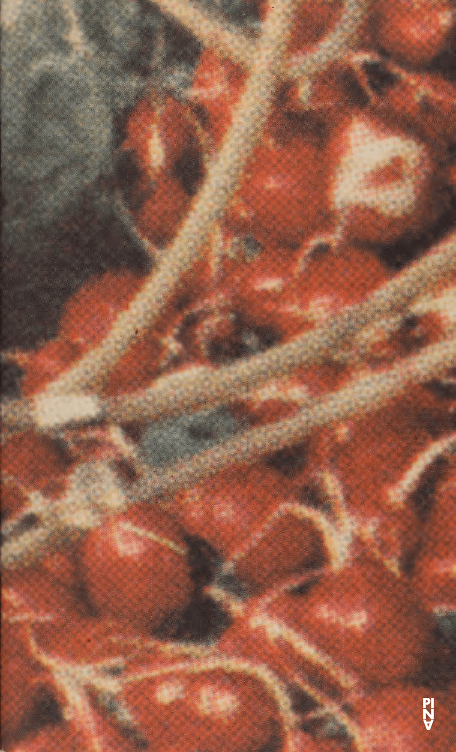 Programmheft zu „Das Stück mit dem Schiff“ von Pina Bausch mit Tanztheater Wuppertal in Antwerpen, 07.09.1995–09.09.1995