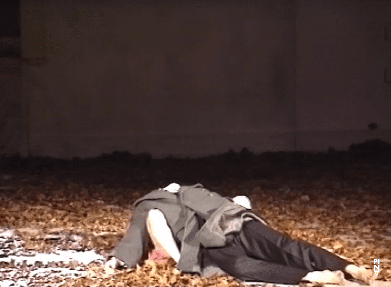 « Barbe-Bleue. En écoutant un enregistrement sur bande magnétique de l’opéra de Béla Bartók « Le Château de Barbe-Bleue » » de Pina Bausch avec Tanztheater Wuppertal Wuppertal (Allemagne), 3 mars 1995 (1/2)