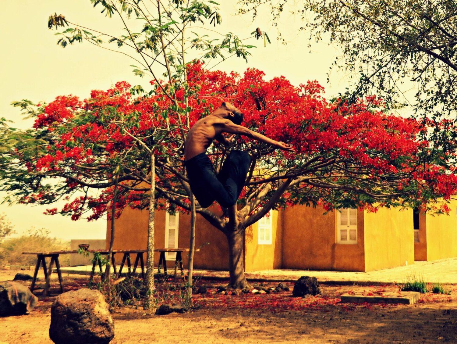 <p>Pina Bausch Fellowship Stipendiat Mohamed Y. Shika während seines Studiums an der École des Sables.</p>